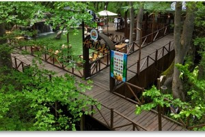 Atakum Belediyesi Çakırlar Korusu’nda Ata Cafe’yi Hizmete Sundu 